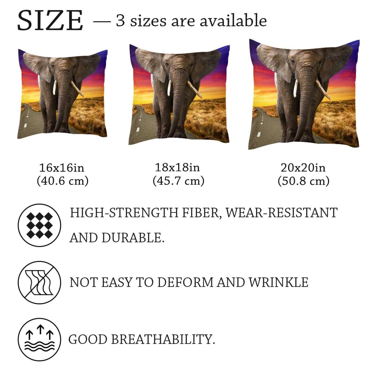 Funda de Almohada con Cierre de Cremallera Fundas de Almohada cuadradas para sofá, tamaño estándar<18x18in>,Animal de Elefante Africano