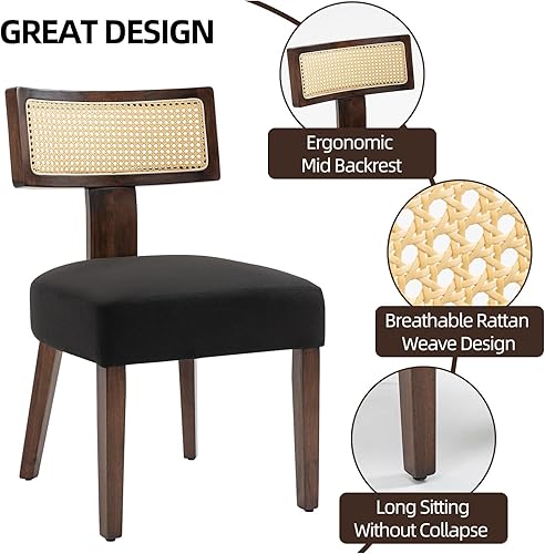 Miniatura 3 de Juego de 4 sillas de comedor tapizadas de ratán, sillas de comedor estilo de mediados de siglo moderno con tela, con estructura de madera dura Marco