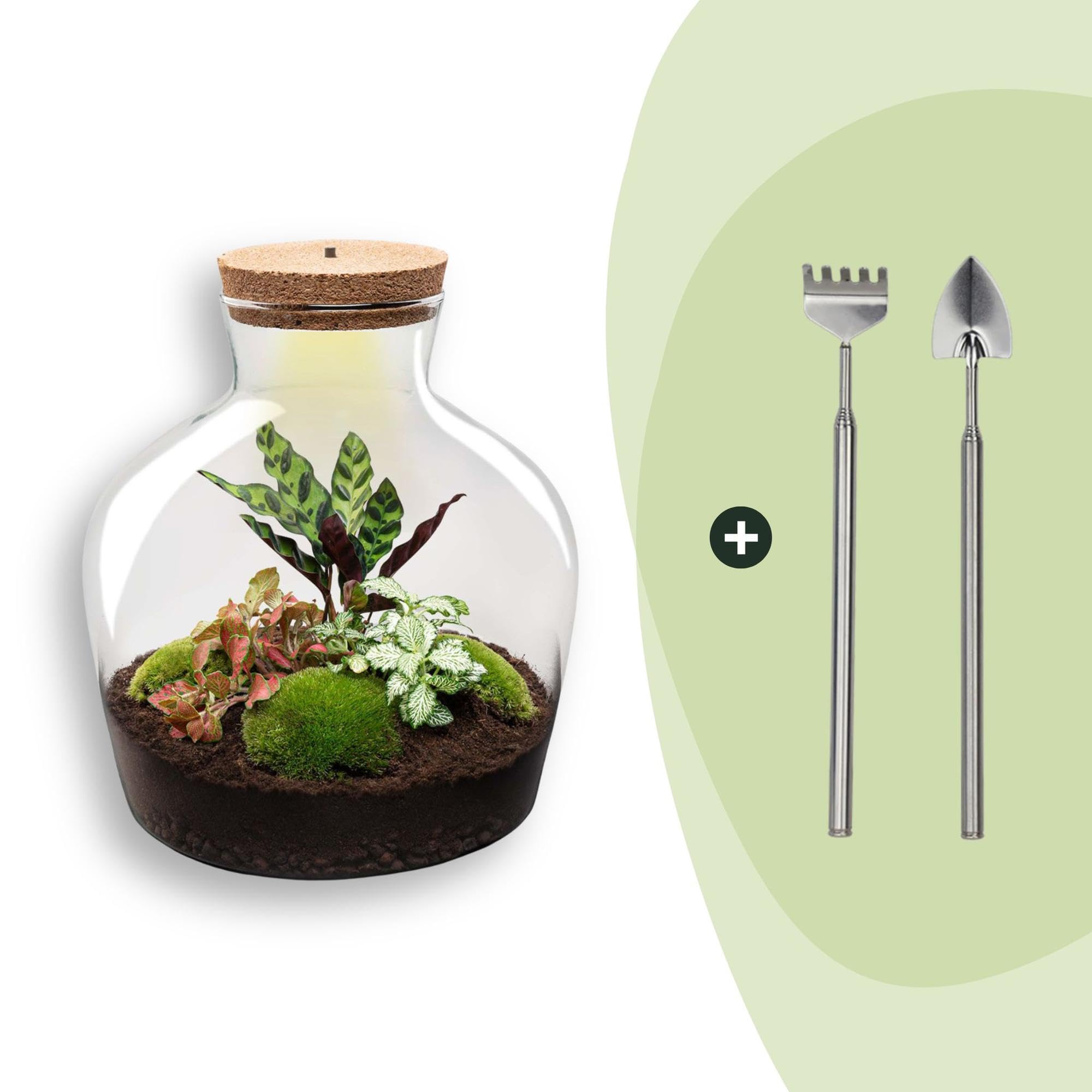 Terrario de Plantas DIY con Luz, Vidrio Reciclado, Decoración, Ø 29x30 cm