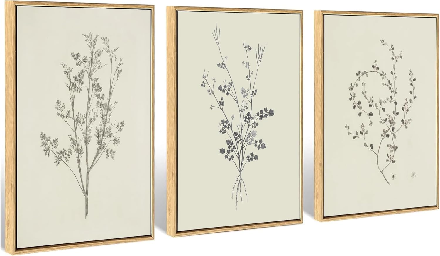 Lyizeba 3Pcs Botanical Canvas Wall Art Vintage Neutral Branch Wall decor pictures Minimalist Floral Sketch Prints for Farmhouse Living Room Bedroom Kitchen Bathroom Home Decoration 16x24in