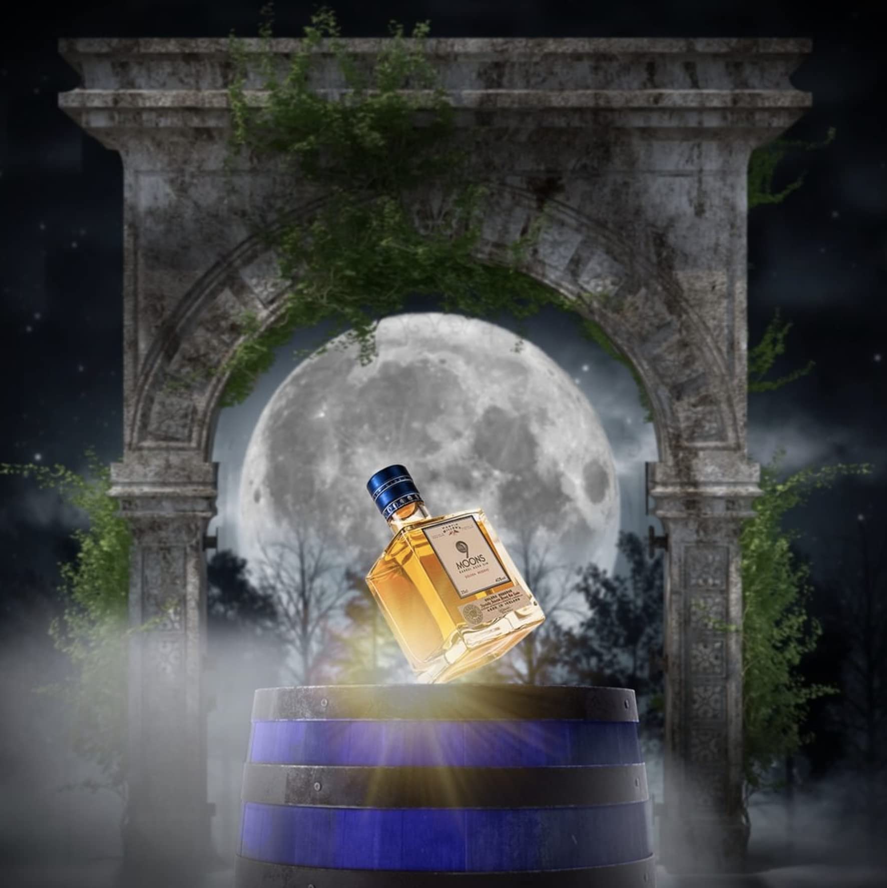 Martin Miller's 9 Moons Solera Reserve (barrel Aged Gin) - 350 ml & Gin Ginebra, 700ml