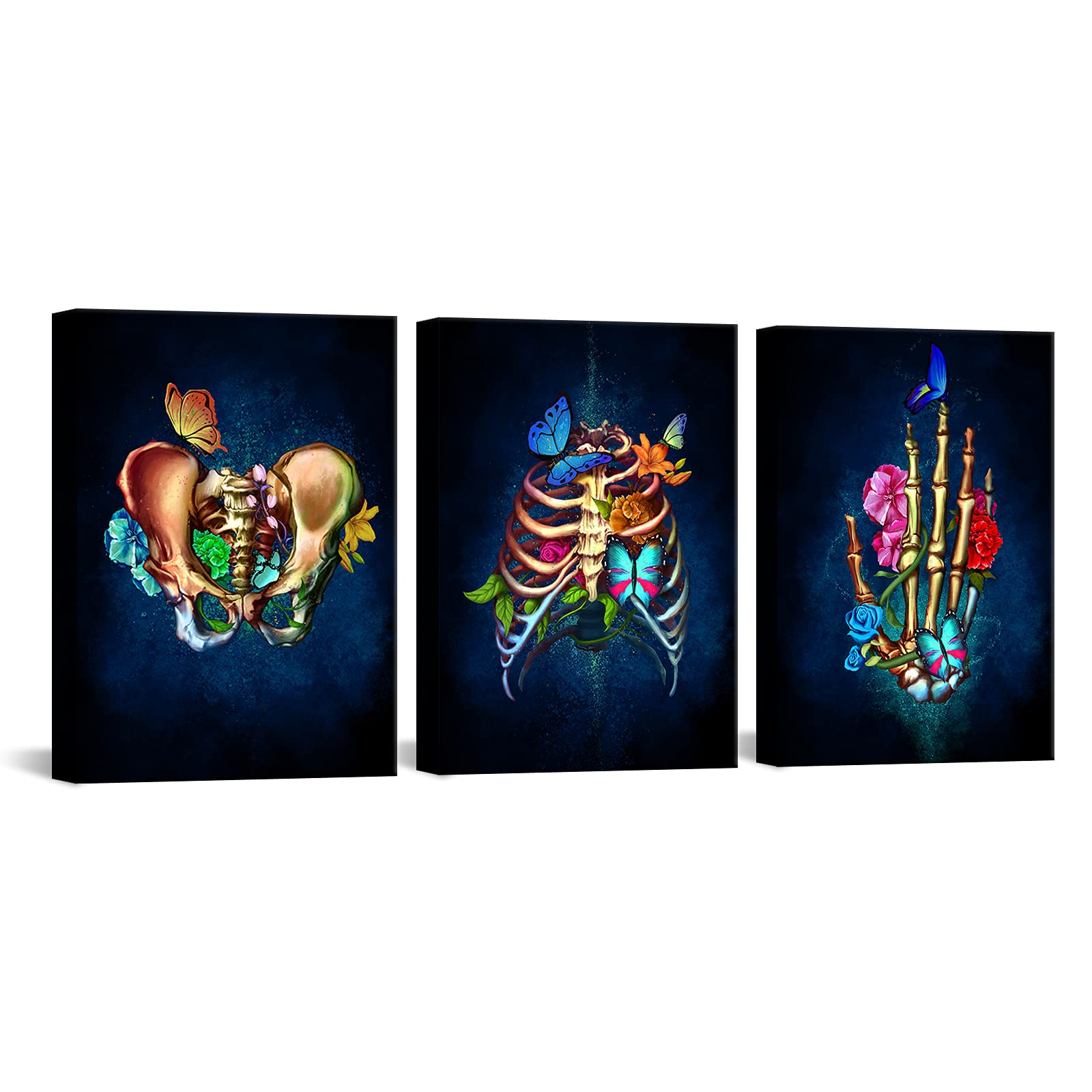 Duobaorom 3 Piece Human Anatomy Set Wall Art Black Flower | Desertcart ...