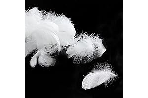 100 Pcs White Goose Feathers: Enhance Your Crafts with Nature's Elegance