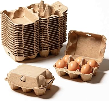 20 Pack Egg Cartons Cheap Bulk, 6 Count Egg Storage Containers Holder, Sturdy Natural Pulp Material Perfect for Storing Extra Eggs