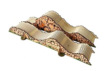 Amazon.com: toyswd Starter KIT Carpet Circuit RC Crawler