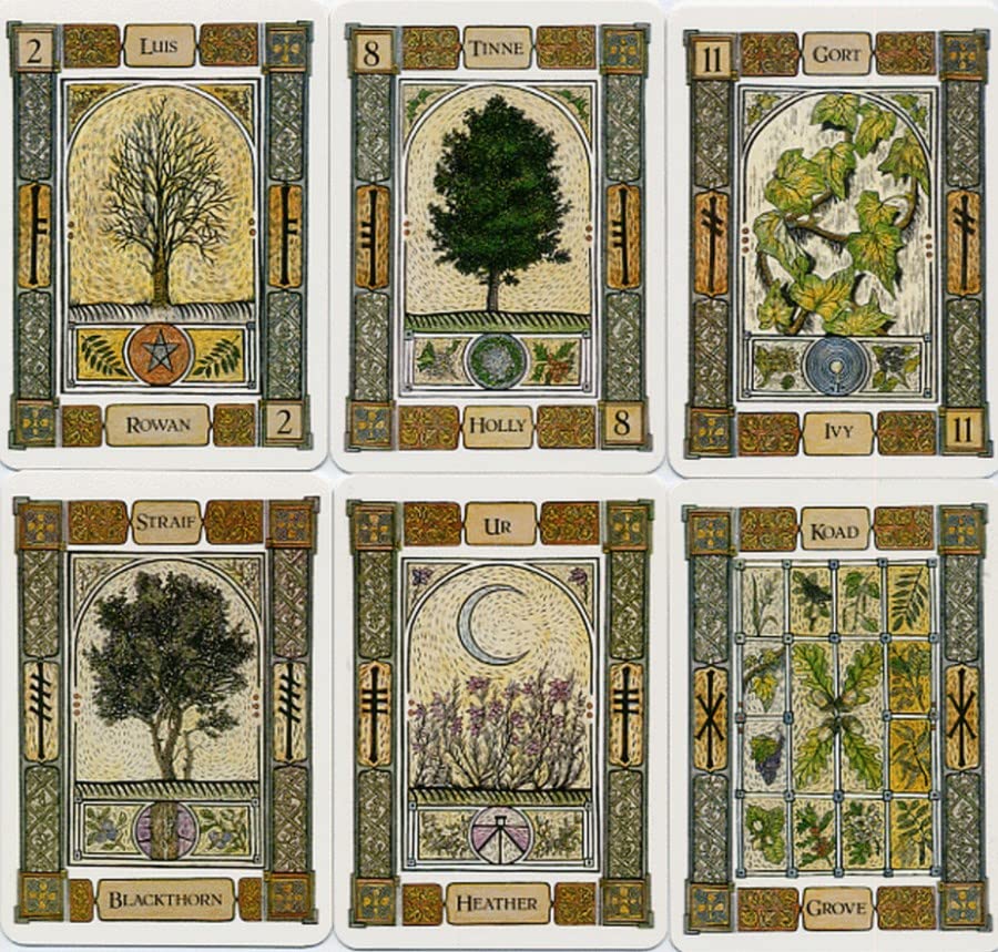 Amazon | Kancharo オラクルカード 25 枚 タロット占い