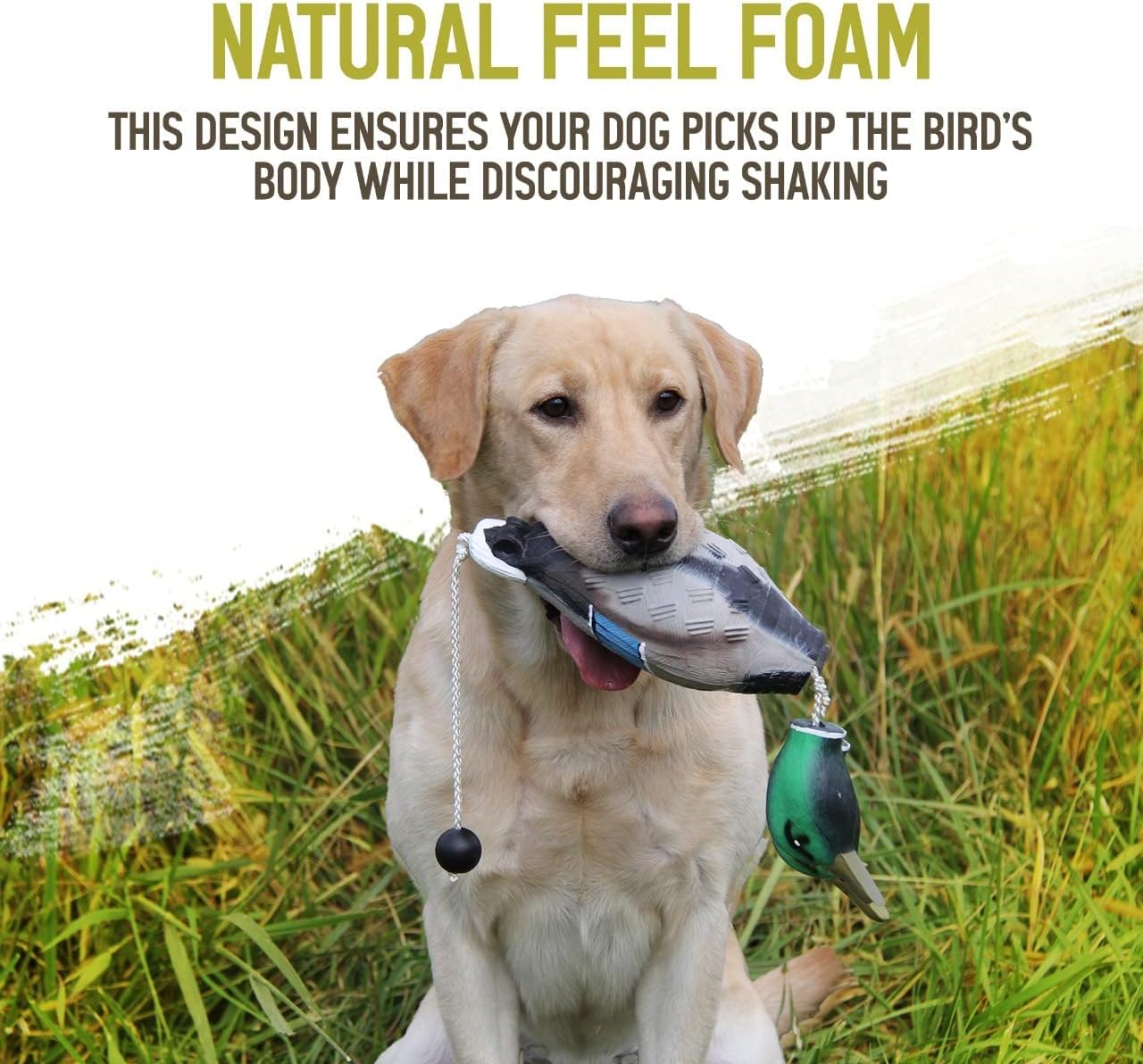 HuntEumUp Dog Bumpers Bundle - 6X Standard Fetch Trainers, White/Orange, Mallard Dummy for Enhanced Retrieval Skills