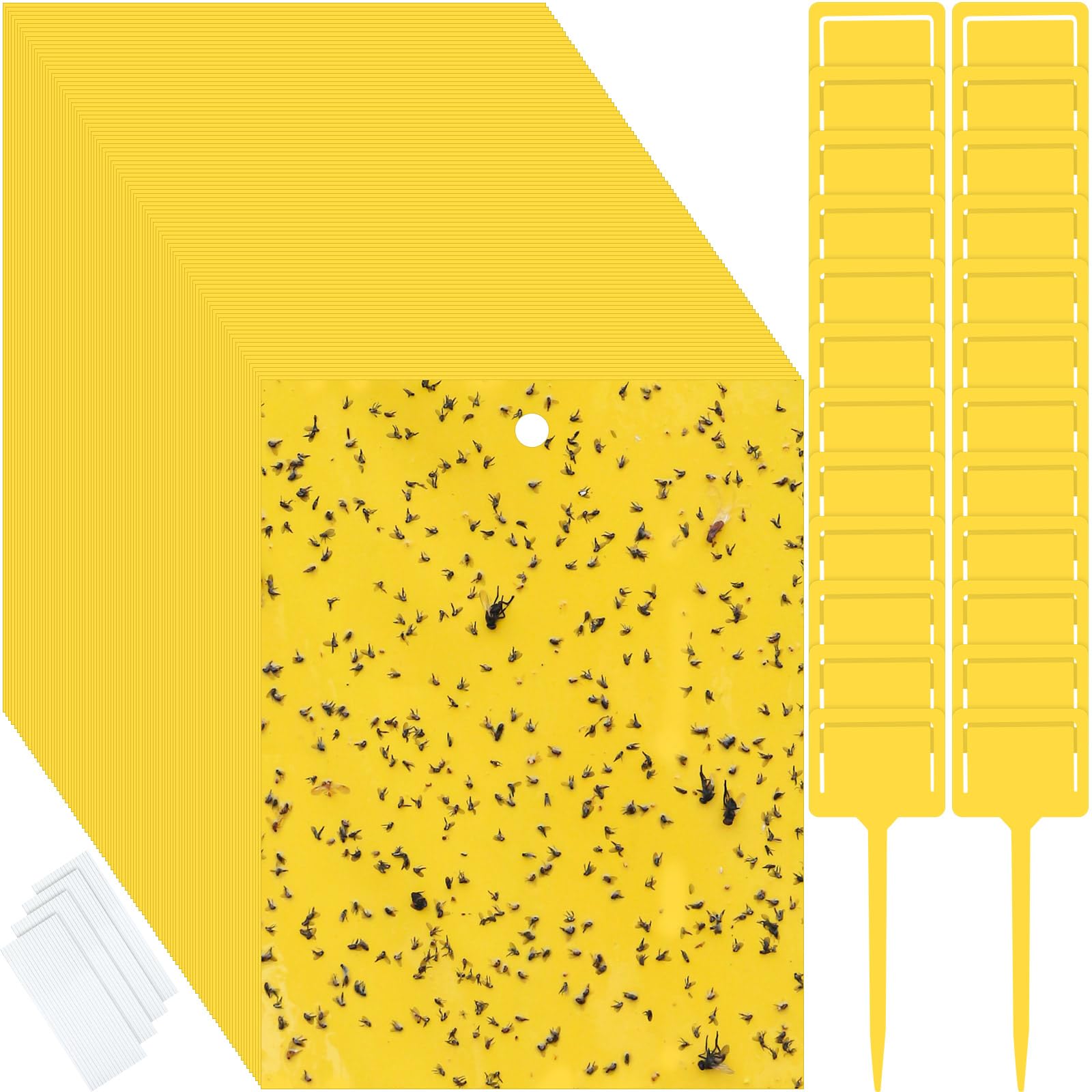 Qualirey 250 Pcs 6 x 8 Inch Sticky Traps for Gnats Dual Sided Fruit Fly Sticky Traps for Indoor and Outdoor Plant with Twist Ties and Plastic Holders for Flying Plant Insect, Fungus Gnats (Yellow)