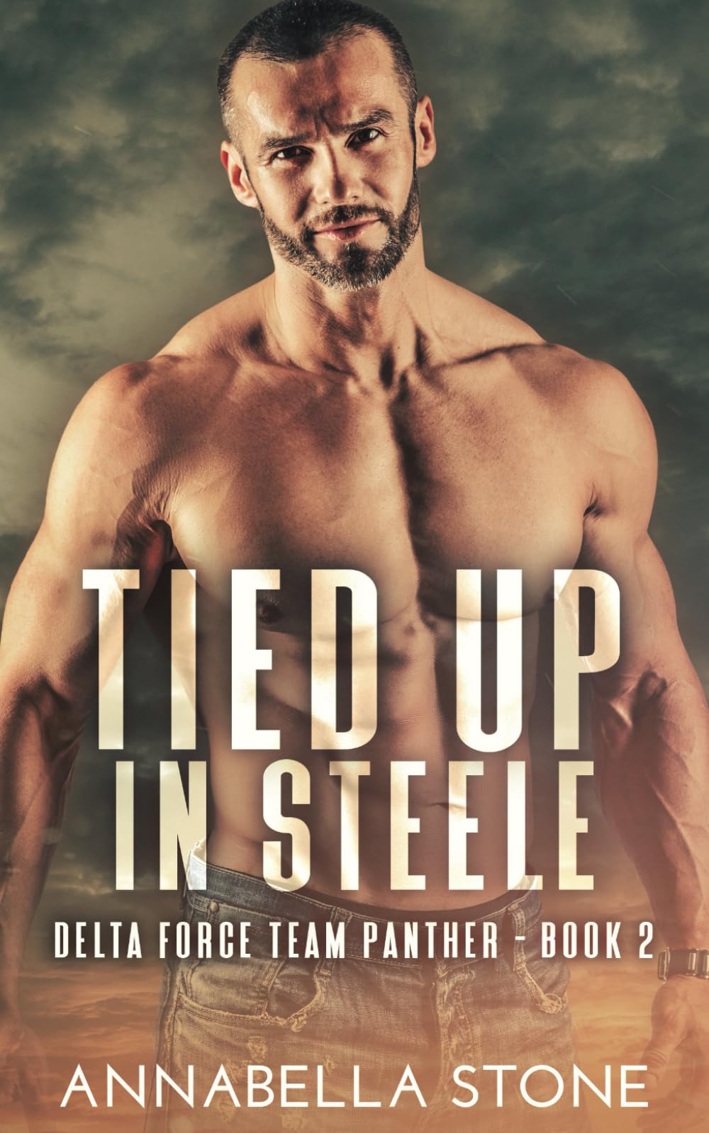Tied Up In Steele: MM Military Romance / Romantic Suspense (Delta Force Team Panther)