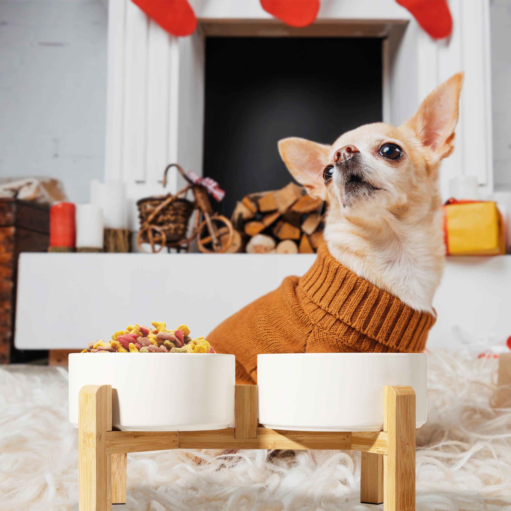 Hundenapf Set Erhöht Hunde Napfset - Doppel Napf Hund Keramik mit rutschfestem Ständer - Erhöhte Futterstation Hund 2er Set für Futter und Wasser - Ideal für kleine und mittelgroße Hunde - 2 x 850 ml