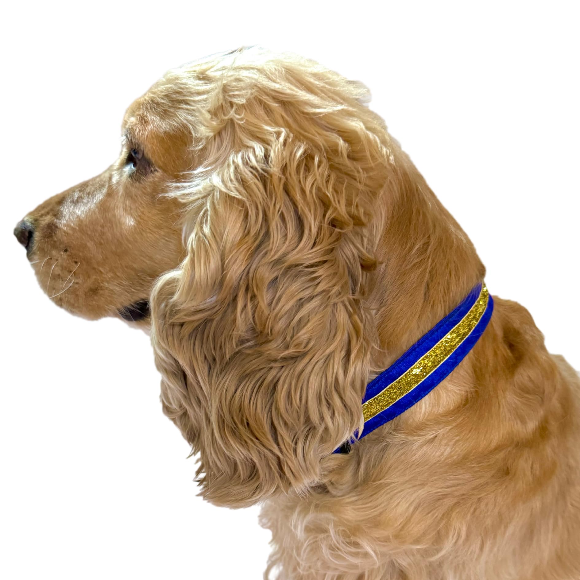 Kitty & The Woof Gang Adjustable Dog collar | Dog collar for small, medium, large, puppies | Cat collar | Collar for dogs | Soft Dog Collar | Dog collar belt | Pet collar | Breathable comfortable S (B0CX1VTS1C) Amazon Price History, Amazon Price Tracker