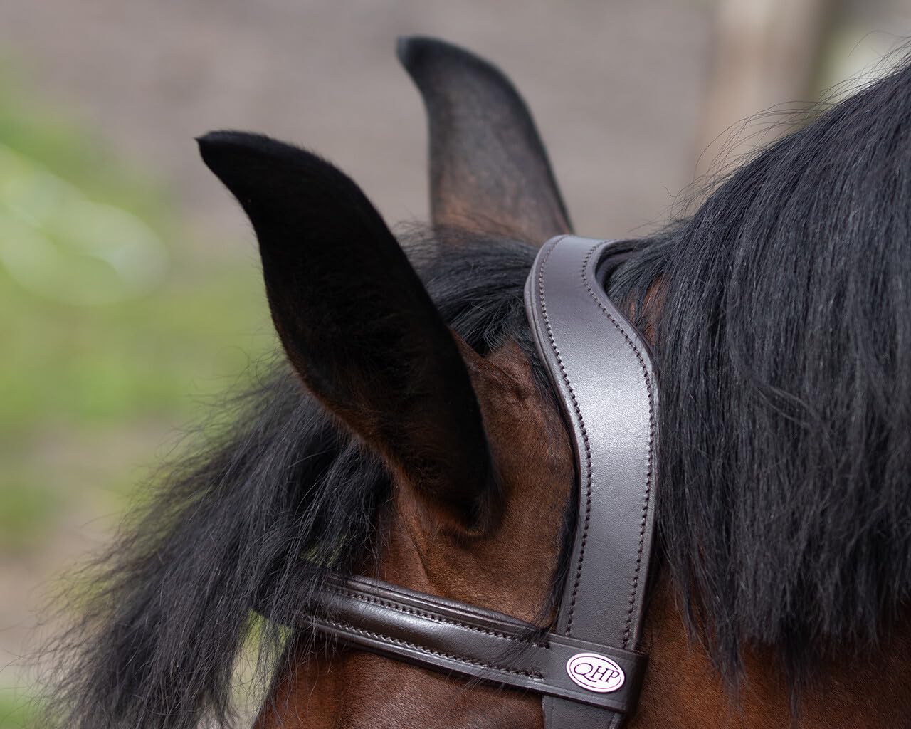 NETPROSHOP Skórzany kantarek do pracy z ziemi Czarny Rozmiar Pony Cob Full XFull, Rozmiar:XL Full, Kolor:Brązowy