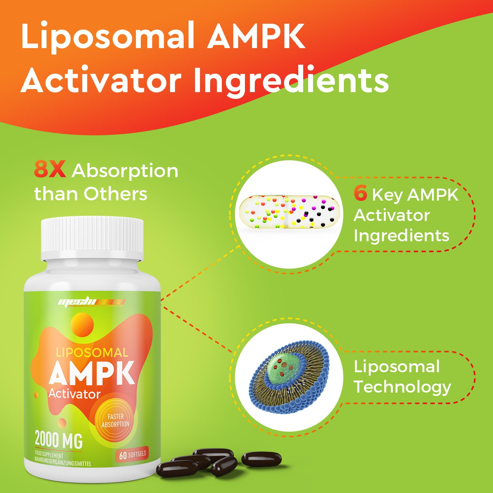 Capsules Liposomales Activateur AMPK 2000 mg, Formule 6-en-1 avec Berbérine HCL, Quercétine Dihydratée et Resvératrol, pour un Soutien Antioxydant, Sans Soja, Sans Gluten