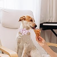 Vista 94 de Lionheart glory Collar de perro con bandera estadounidense, collar de flores para perro del 4 de julio, resistente y ajustable, collar patriótico