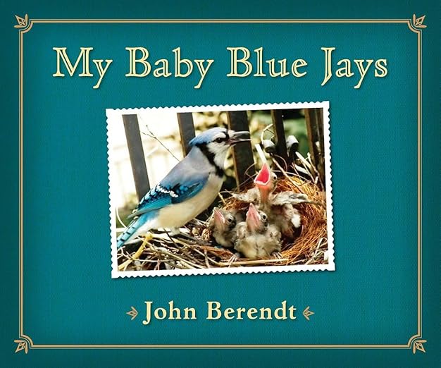 My Baby Blue Jays Berendt, John 9780670012909 Books