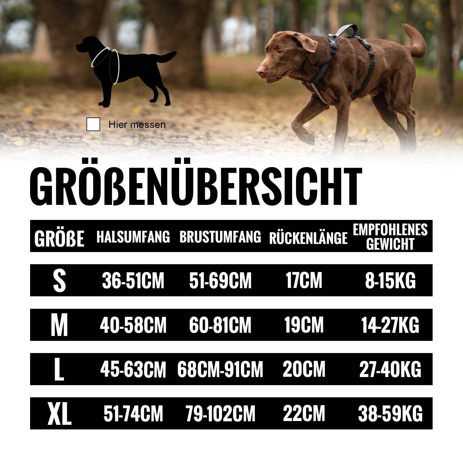 Arblina Hundegeschirr, Ausbruchsicheres Antizuggeschirr für Kleine, Mittlere und Große Hunde, Hundegeschirr Gepolstert mit Front Clip und Weichem Griff für Training, Spaziergänge und Laufen, Schwarz S