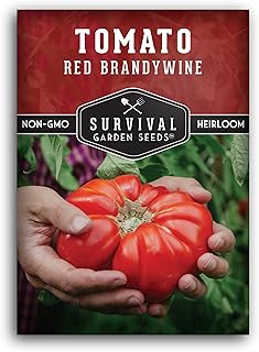 Red Brandywine Tomato Seeds for Planting – Heirloom Non-GMO Indetermin...