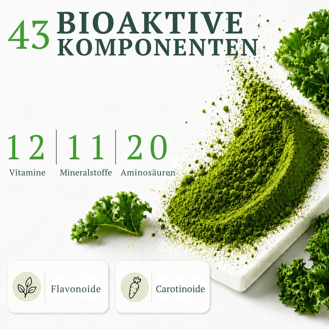 Pure Bio Grünkohl Pulver, 25 x 2g Sachets auf Grünes Superfood | Ohne Zusatzstoffe, Gefriergetrocknet, Hoher Gehalt an Protein, Kalzium, Vitamin C & K, Antioxidantienreich, 9 Aminosäuren