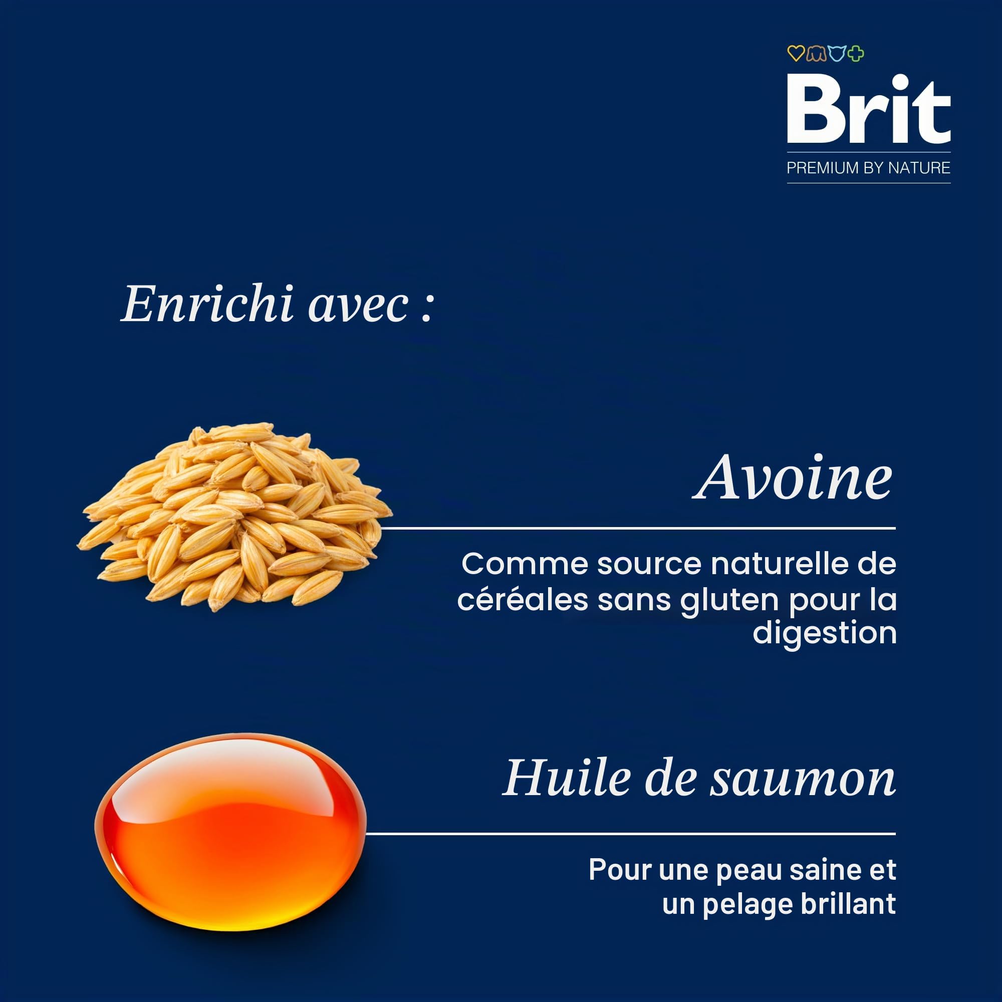 BRIT Premium Croquette pour Chien Adulte 8 kg Taille S