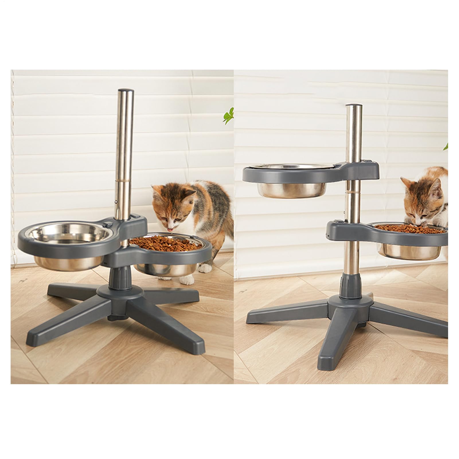 Gamelles surélevées pour animaux de compagnie - Support réglable en