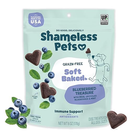 Blueberried Treasure Soft-Baked Dog Treats