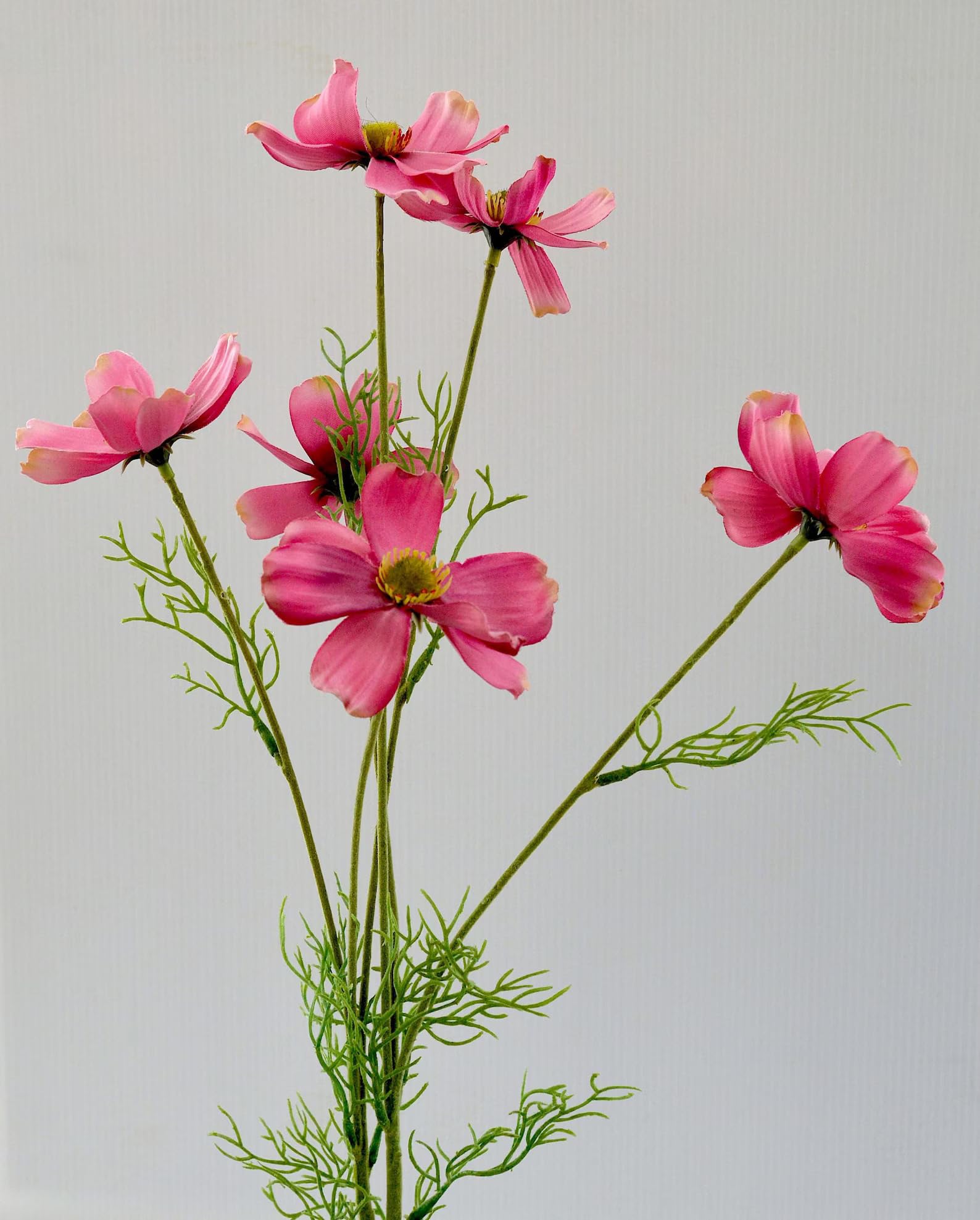Ferris Heart Sloane Dark Pink Luxury Artificial Cosmo Stem Faux Cosmo Stem 78Cm Tall, Artificial Flowers, Floristry