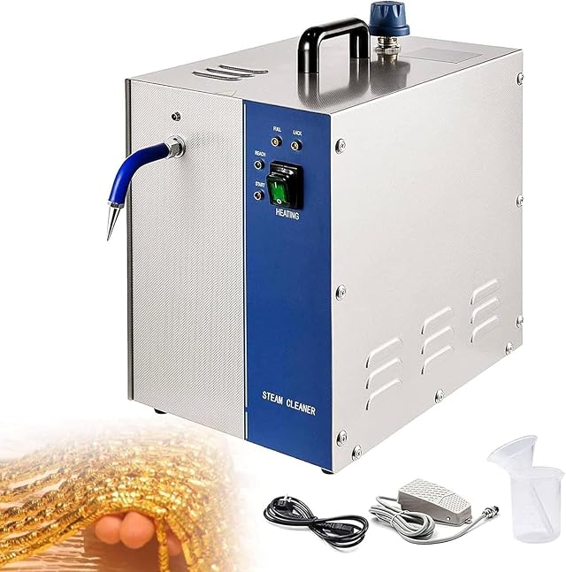 2L 4L Stainless Steel Jewelry Steam Cleaner Professional Jewellery Steam Cleaner Machine 1300W 2200W Gem Washer Gold and