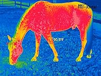 Review Image by B&K B&K