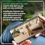 Blink Mini 2K+ (nouveau modèle) – Plug-in Accueil & Caméra de sécurité pour animaux de compagnie 2K résolution vidéo, vision nocturne couleur, audio amélioré, détection de mouvement – 1 caméra (Noir)