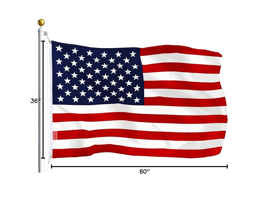星条旗 フラッグ MADE IN THE USA 71SJb5dzVQL._UF894,1000_QL80_.jpg