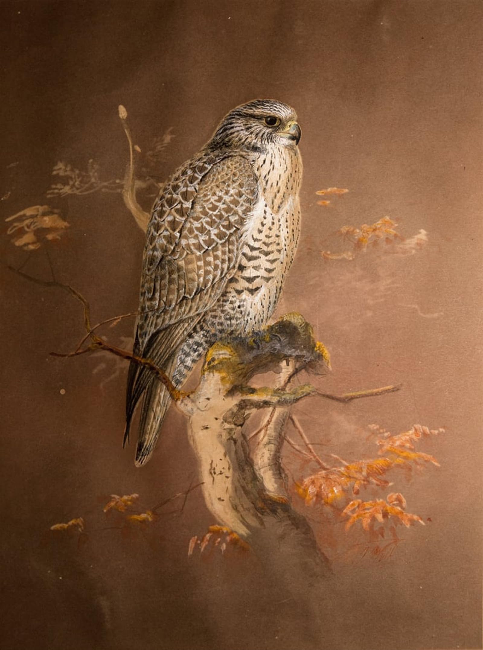 POSTERIIk Famous Animal Posters Vintage Picture Iceland Falcon by Wolf Modern Wall Decor for Home Decor 60x90cm