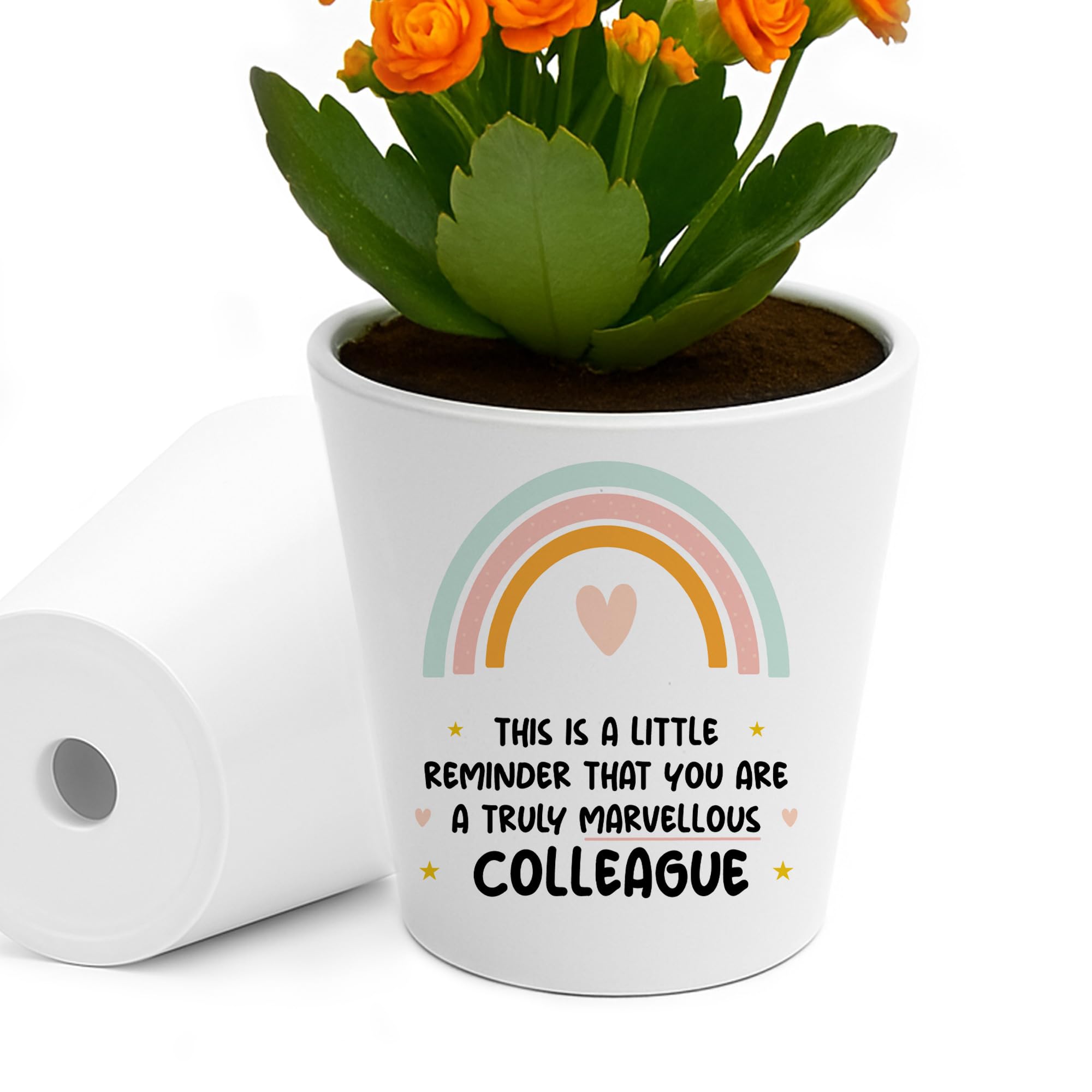 RED OCEAN Thank You For Colleague Leaving Job Truly Marvellous Plant Pot Christmas Birthday For Colleague Him Her Keepsake