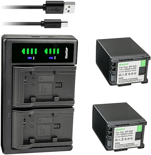Kastar Paquete de 2 baterías y cargador USB LTD2 de repuesto para Canon BP-820 BP820, BP-828 BP828, cargador Canon CG-800 CG800, Canon VIXIA HF G50