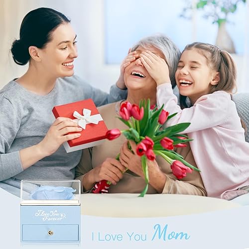 Miniatura 5 de Rosa conservada con te amo en 100 idiomas, rosa real para el Día de la Madre, Navidad, cumpleaños, A-ROJO