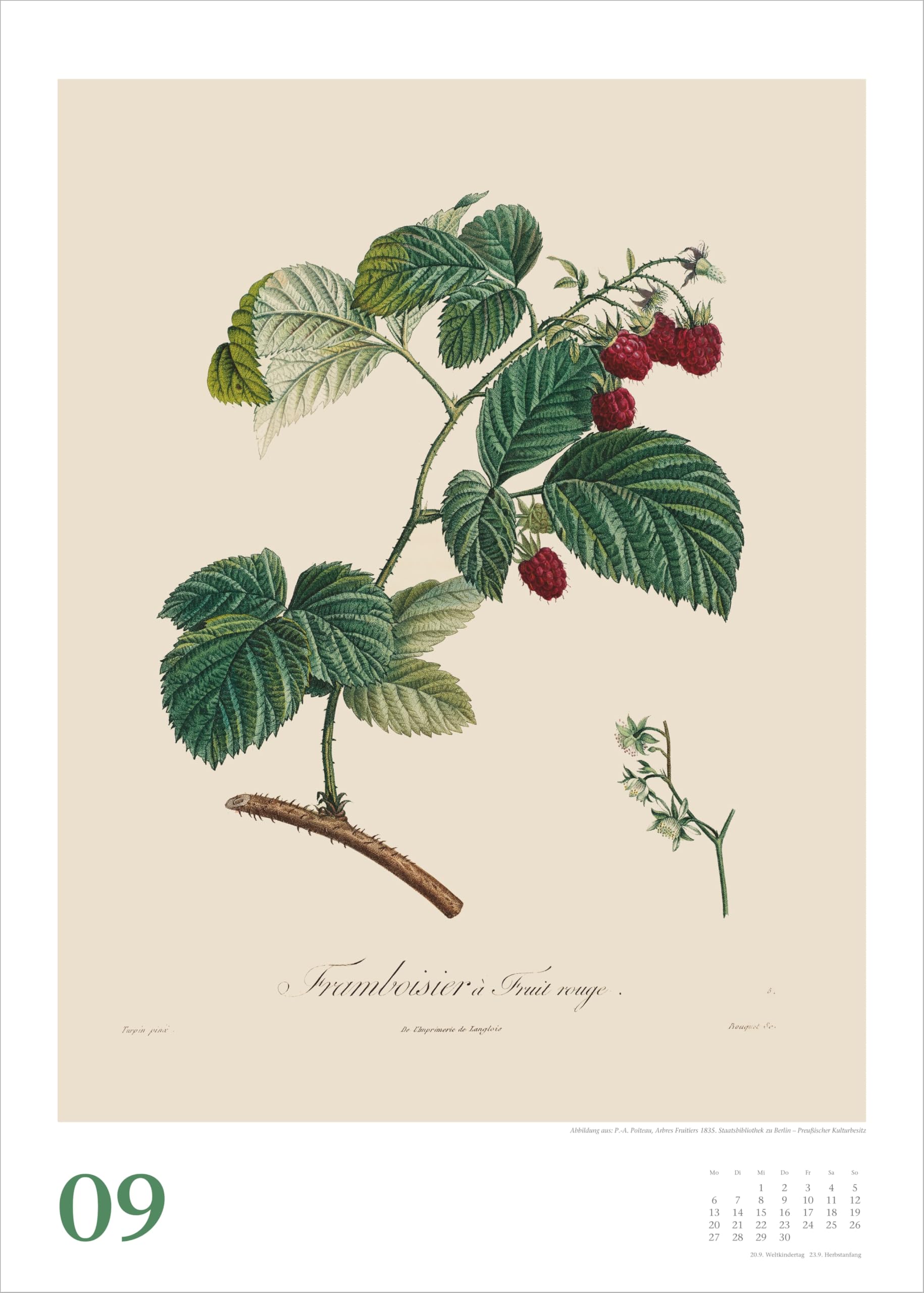 Alte Obstsorten 2027: Wandkalender 50x70 cm mit historischen Illustrationen von Pierre Antoine Poiteau und Spiralbindung