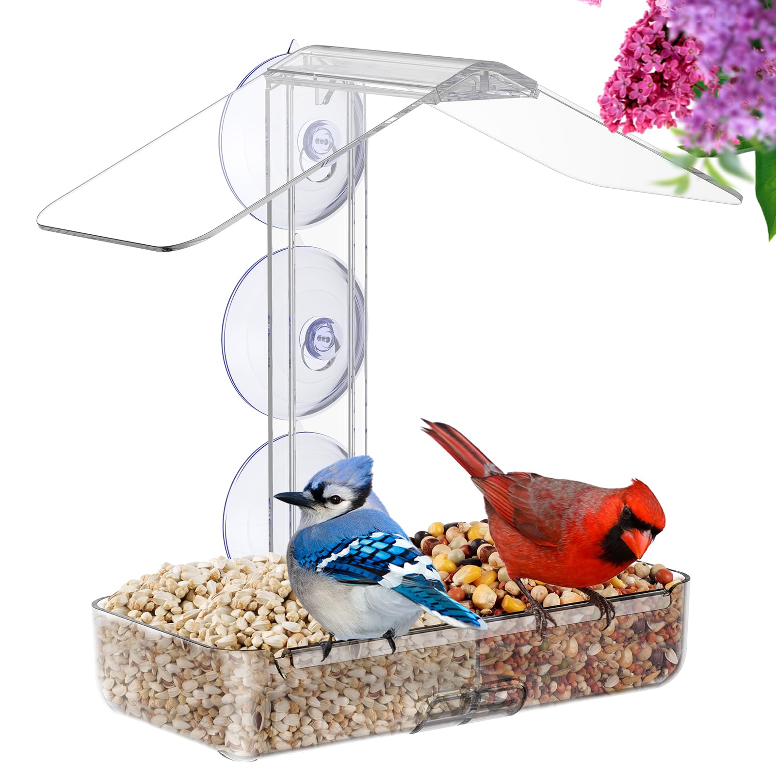 MrCrafts Window Bird Feeder with Strong Suction Cups, Clear Window Bird feeders for Viewing, Window Bird House, Bird Feeders for Outdoors Outside, Fits for Cardinals, Finches, Chickadees, Unique Gift