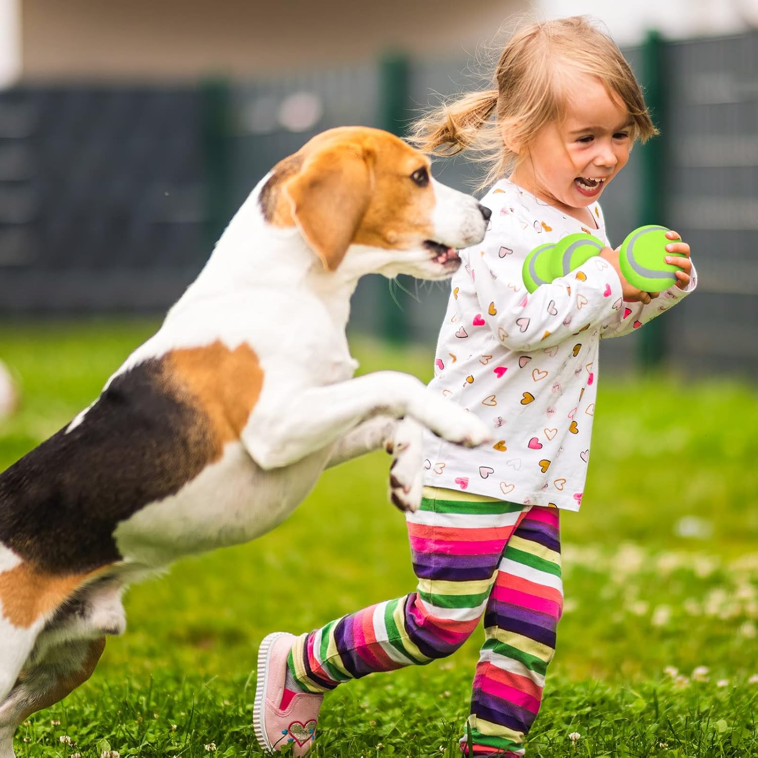 Yunsailing 50 Packs Small Tennis Balls for Dogs Bulk Dog Toys Pet Interactive Mini Tennis Balls for Training Play Exercise and Fetch(Yellow)