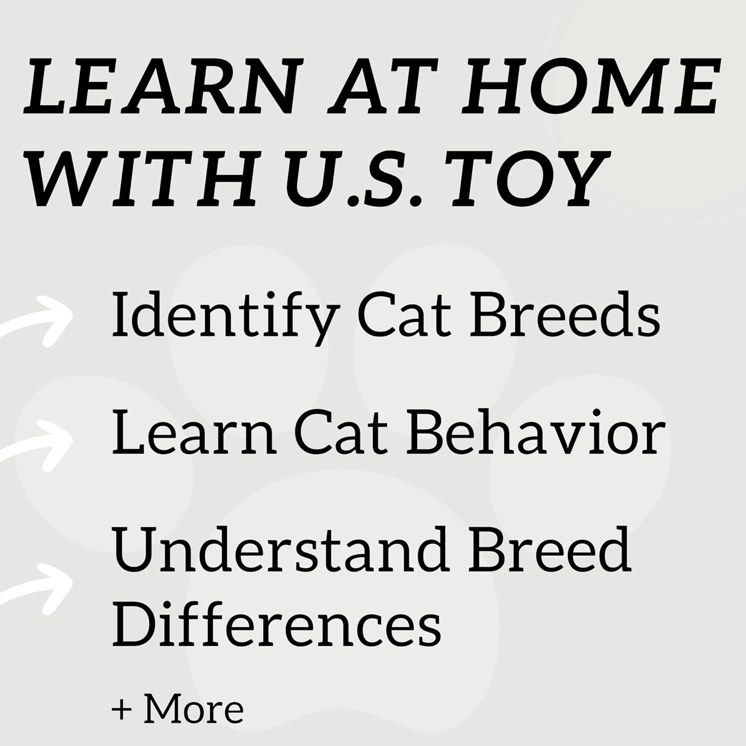 Assorted Plastic 2" Cat Figure Toys (12)