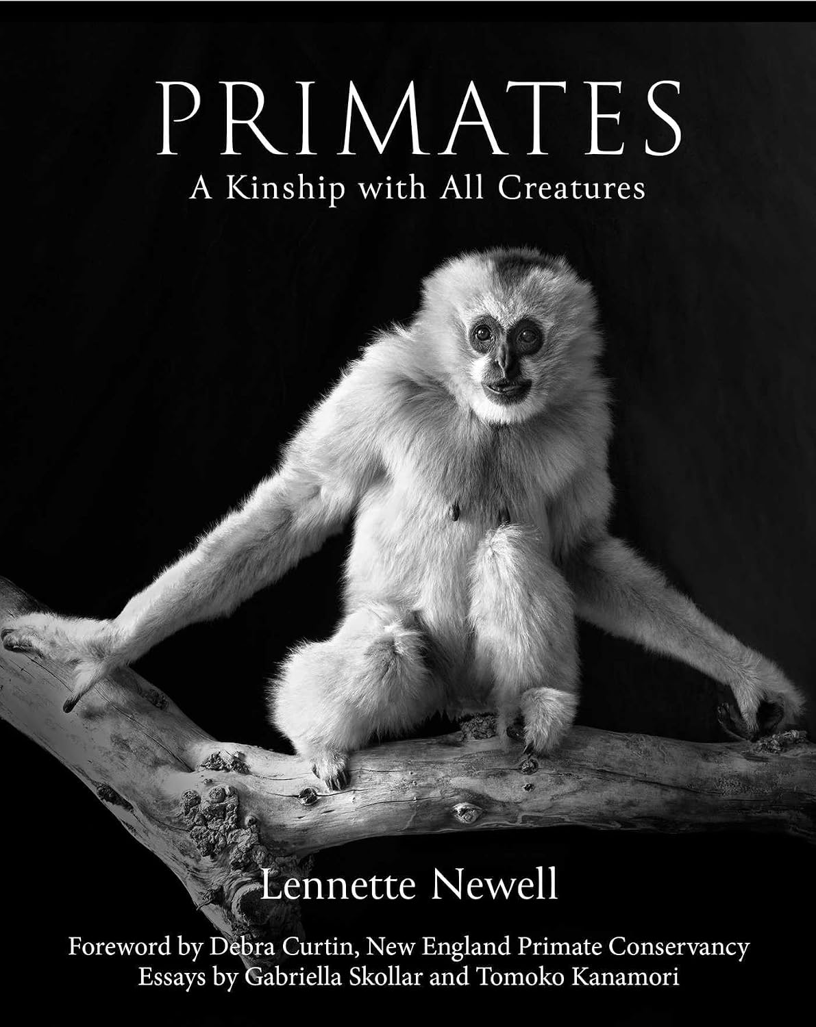 Primates: A Kinship with All Creatures