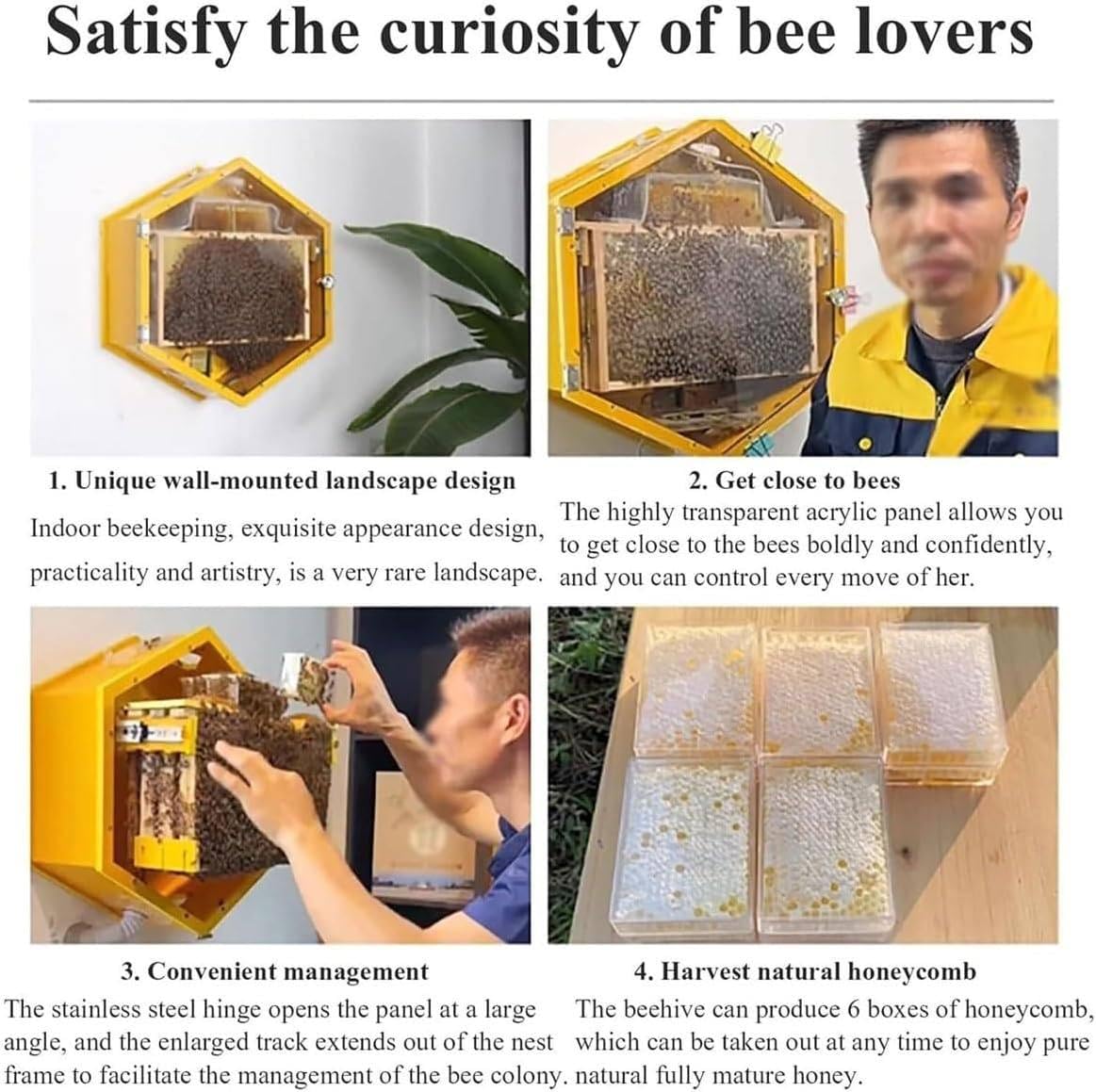 Starter kit per interni con 3 cornici e 6 vassoi a nido d'ape, finestra di visualizzazione in acrilico, struttura esagonale per gli appassionati di apicoltura, sistema di apicoltura domestica