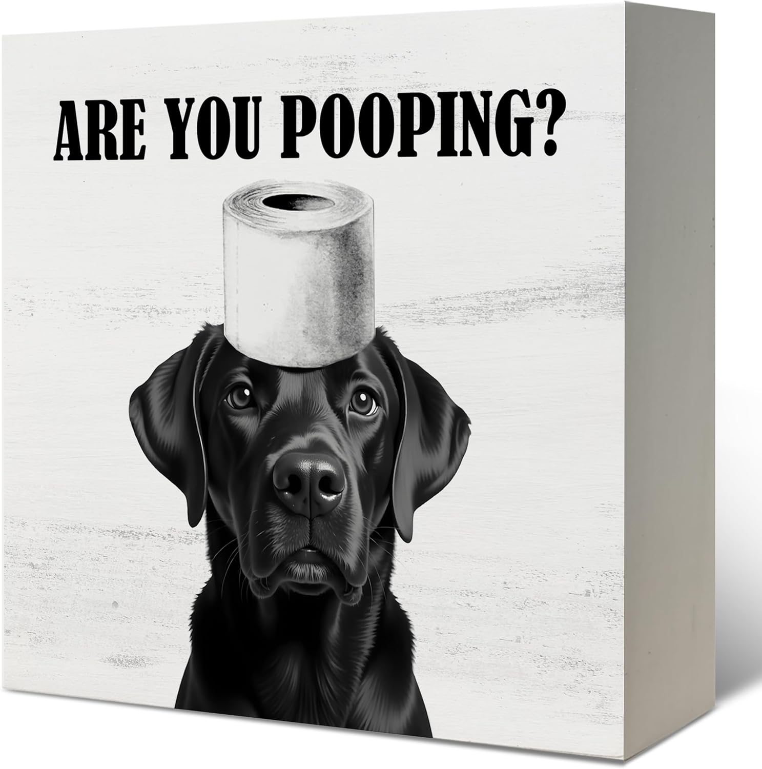 LUKIPOM Funny Black Labrador Retriever Bathroom Wooden Box Sign, Are You Pooping Sign, Black Lab Labrador Gifts Wood Signs for Bathroom Restroom Toilet Half Bath Shelf Counter Decor, 5x5 Inch