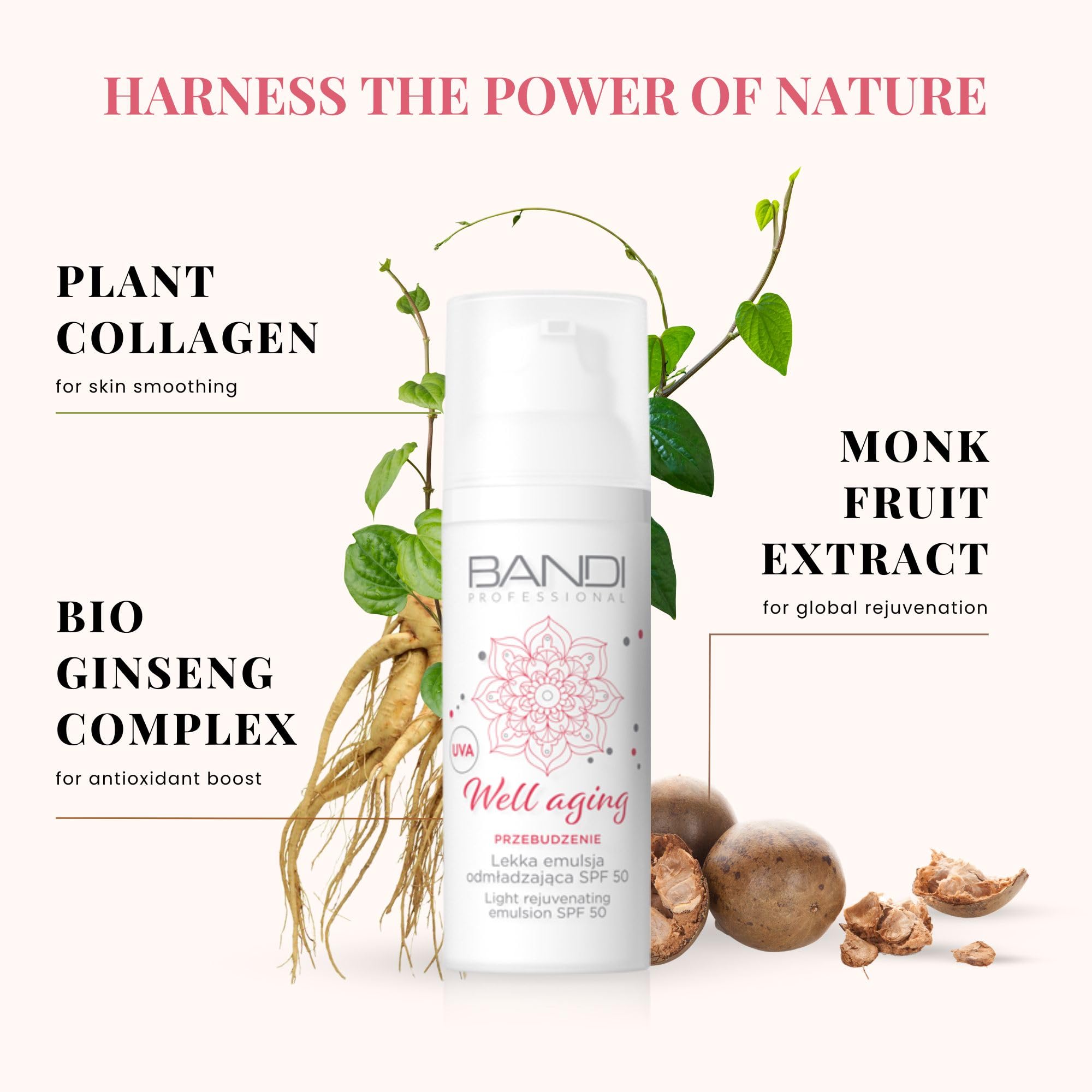 Bandi Revitalizing Spf 50 Face Cream Anti-Aging Moisturiser for Mature Skin Hydrating Day Cream with Ginseng and Plant Collagen for Youthful Radiance and Protection - Image 3