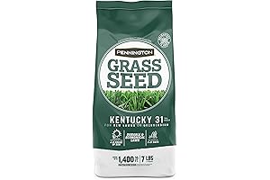 Kentucky 31 Tall Fescue Penkoted Grass Seed - 7 lb