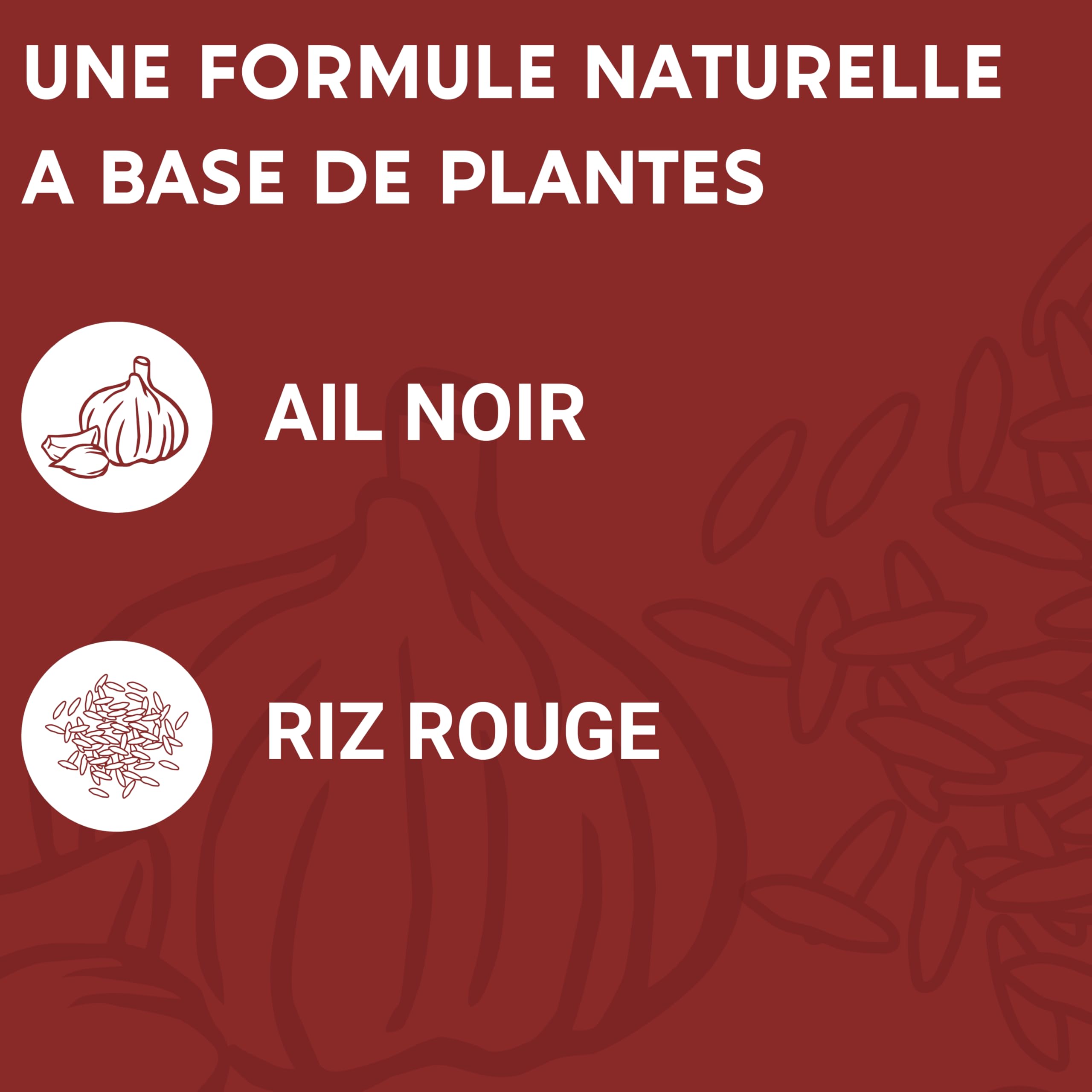 FORMULE CHOLESTÉROL | Ail Noir, Riz, Levure de riz rouge, Coenzyme Q10 | 60 Gélules | Fabriqué en France