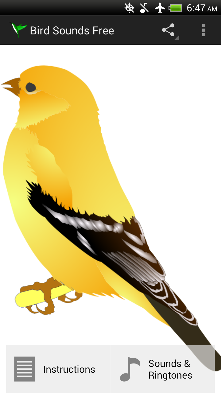 Listen Bird Bird Sounds Free - App on the Amazon Appstore