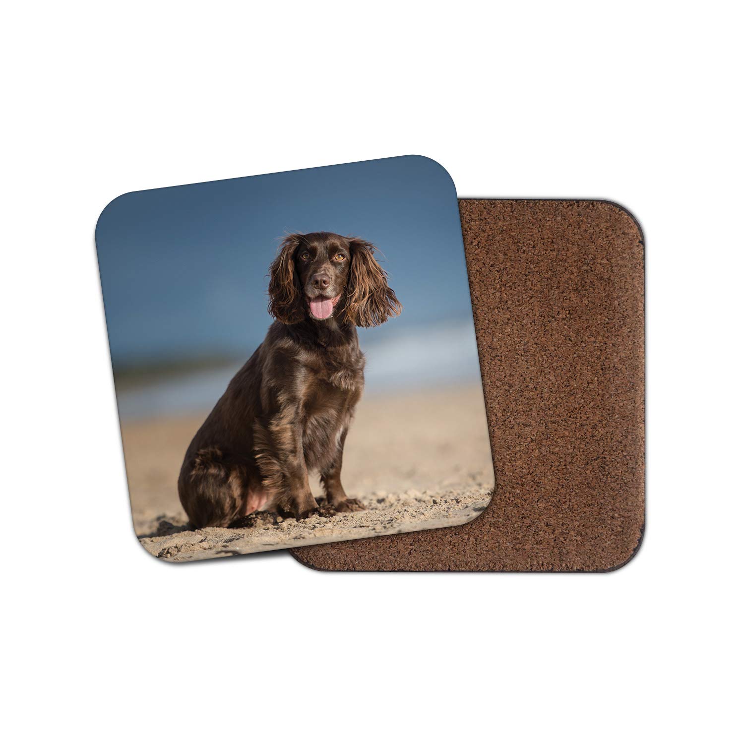 1 x Cocker Spaniel Coaster - Puppy Gun Dog Beach Working Cute Pet Kids #12508