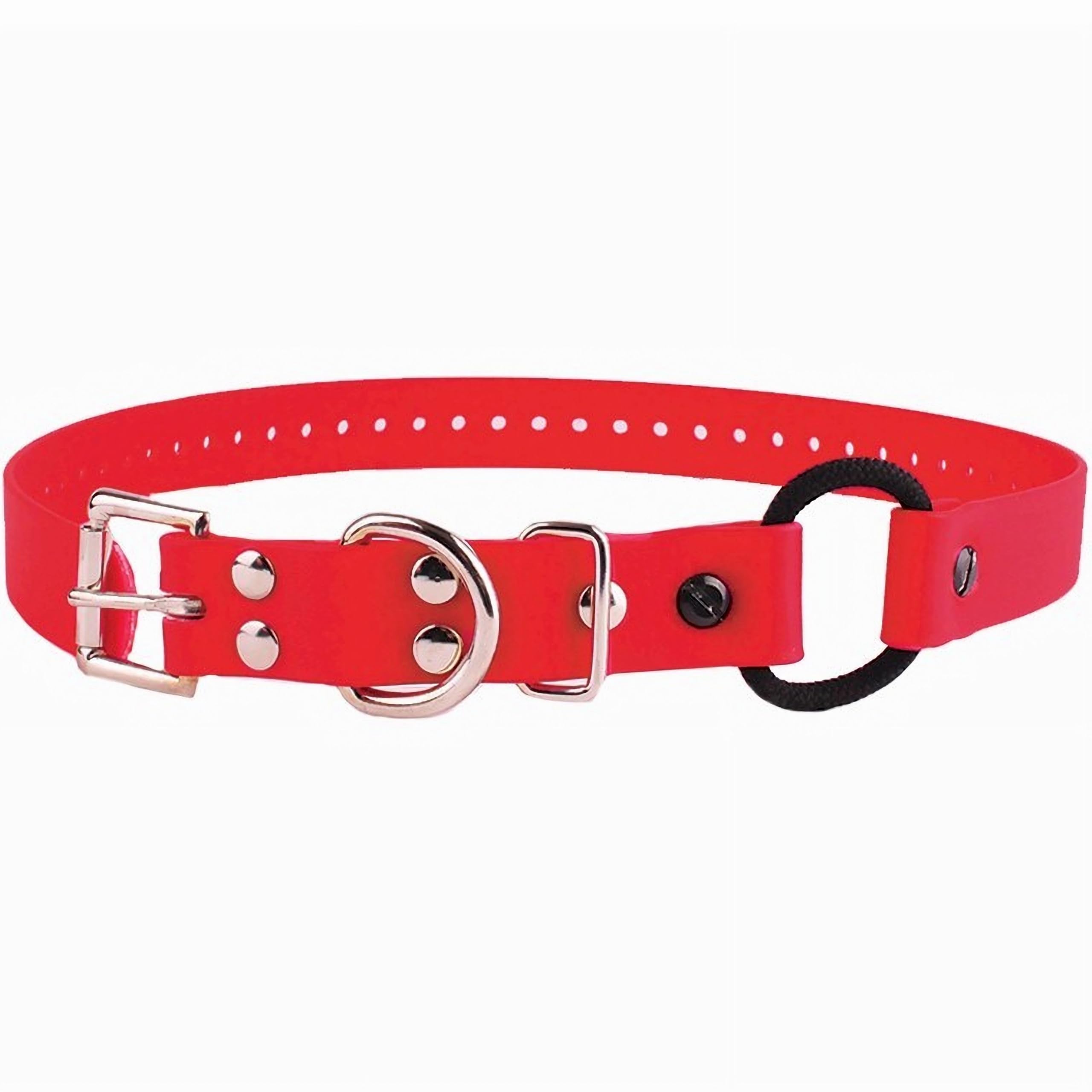 Collar elástico educador