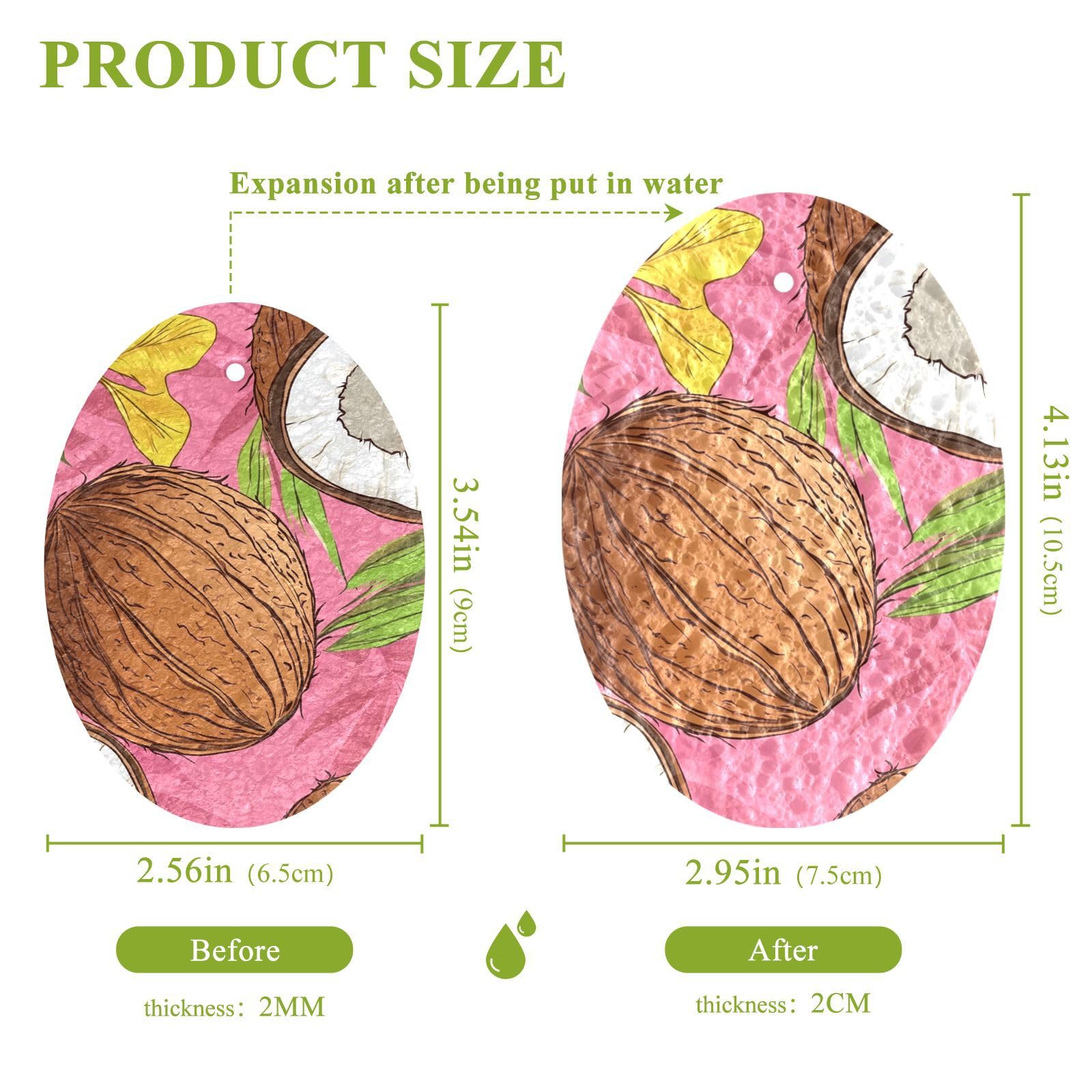 Absorbent Non Toxic Dish Sponge Effortless Dish sponges for Washing Dishes New Home Essentials (3 Count)