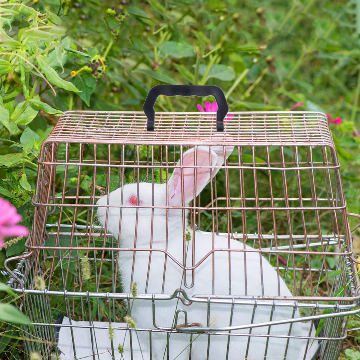 PATKAW 10 Pezzi Maniglia Della Gabbia Sostituzione Vassoi Per Canile Manici Per Gabbie Per Animali Domestici Porcellino D'india In Di Cucciolo Viaggiare Grande Gabbia Per Cani Plastica