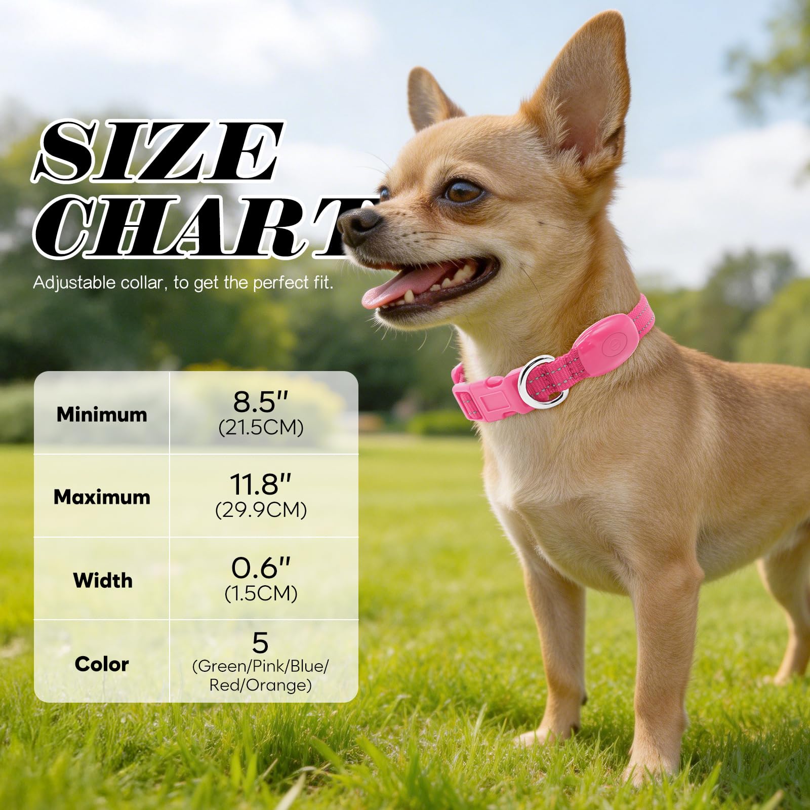 Clan_X cane collare, USB ricaricabile illuminazione LED per cani, Glow in Dark, riflettente collari Keep your Pets visibile & Safe, XS (8.5-11.8inch/21.5-29.9cm), Cotton Candy Pink